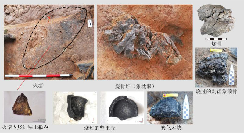 系统性用火.jpg