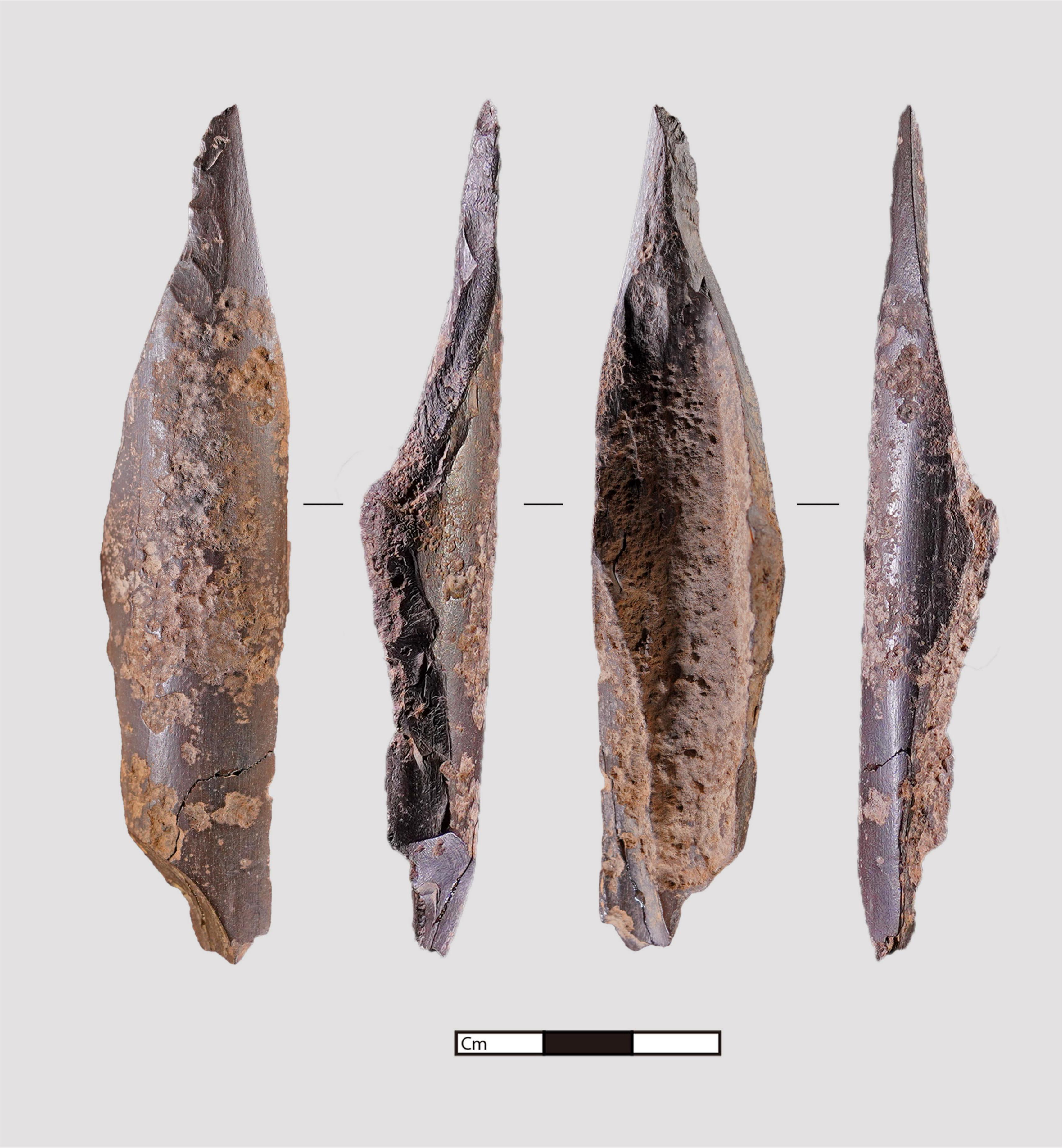 图九 出土骨器.jpg