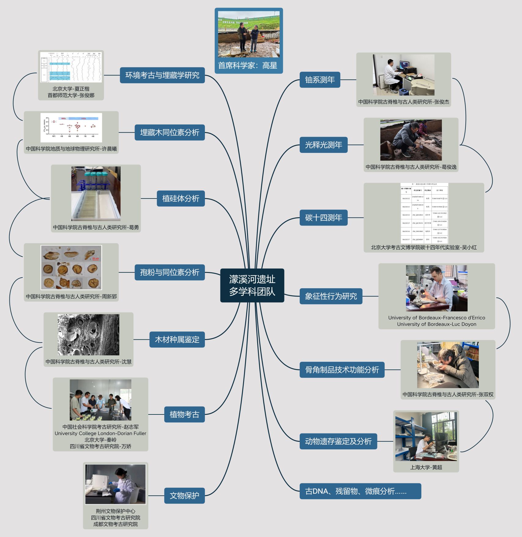 图七 多学科专家团队.jpg